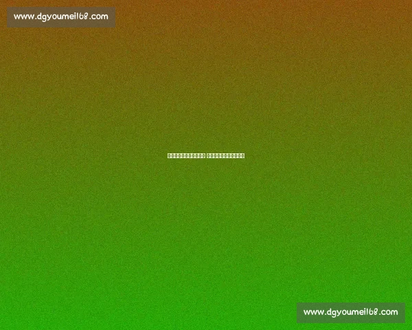 加图索接掌意大利国家队 剑指世界杯重塑蓝衣军团